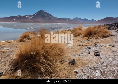 L'impressionnante Laguna Verde à la frontière du Chili et de la Bolivie. Accessible par des pistes désertiques, généralement dans le cadre d'un groupe de safari terrestre Banque D'Images