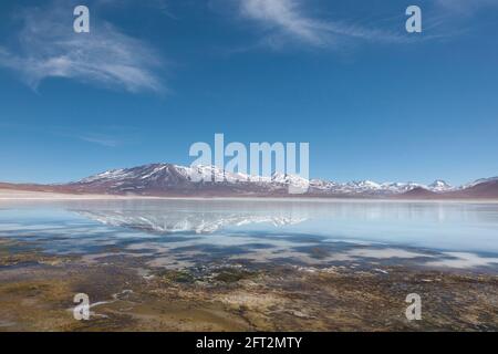 L'impressionnante Laguna Verde à la frontière du Chili et de la Bolivie. Accessible par des pistes désertiques, généralement dans le cadre d'un groupe de safari terrestre Banque D'Images