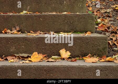 Marches extérieures en béton recouvertes de feuilles d'automne tombées, scène saisonnière, vue frontale rapprochée Banque D'Images