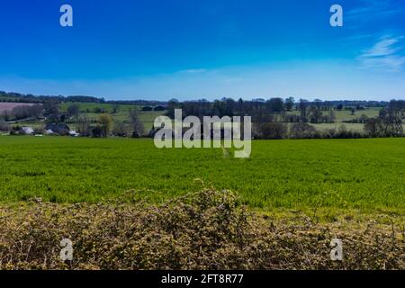 Vues depuis les ruines de Racton près de Chichester, West Sussex en Angleterre. Banque D'Images