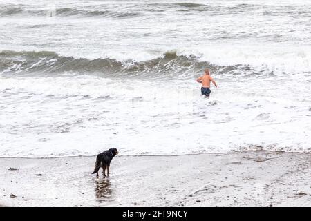 Garrettstown, Cork, Irlande. 21 mai 2021. Après quelques jours de tempêtes le long de la côte, un chien regarde son maître aller nager dans les mers difficiles à Garrettstown, Co. Cork, Irlande.- Credit; David Creedon / Alay Live News Banque D'Images