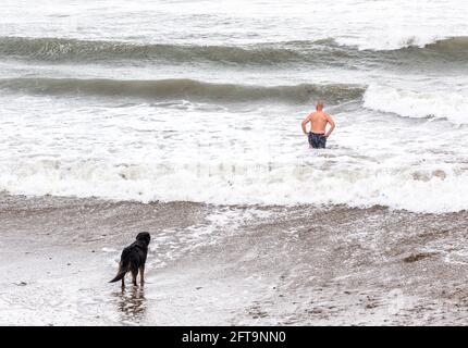 Garrettstown, Cork, Irlande. 21 mai 2021. Après quelques jours de tempêtes le long de la côte, un chien regarde son maître aller nager dans les mers difficiles à Garrettstown, Co. Cork, Irlande.- Credit; David Creedon / Alay Live News Banque D'Images