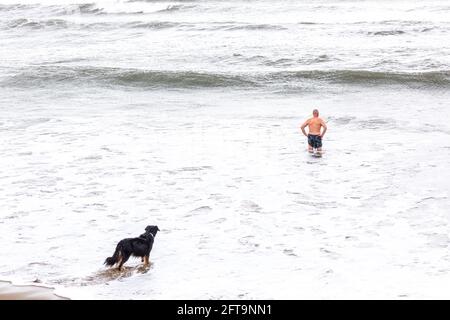 Garrettstown, Cork, Irlande. 21 mai 2021. Après quelques jours de tempêtes le long de la côte, un chien regarde son maître aller nager dans les mers difficiles à Garrettstown, Co. Cork, Irlande.- Credit; David Creedon / Alay Live News Banque D'Images