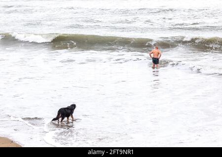 Garrettstown, Cork, Irlande. 21 mai 2021. Après quelques jours de tempêtes le long de la côte, un chien regarde son maître aller nager dans les mers difficiles à Garrettstown, Co. Cork, Irlande.- Credit; David Creedon / Alay Live News Banque D'Images