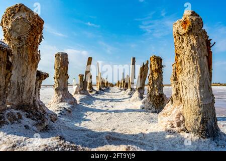 Lac de sel rose dans le sud de l'Ukraine. Cristaux de sel sur poteaux en bois, sel sur le sol Banque D'Images