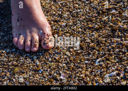 Womans pied sur la plage de la mer galets et coquillages (différentes formes colorées de fragments de coquillages) en journée ensoleillée. Conception de vacances. Image de tendance. CL Banque D'Images