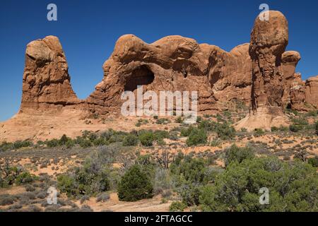 Parade des éléphants dans le parc national d'Arches, Utah, États-Unis. Banque D'Images