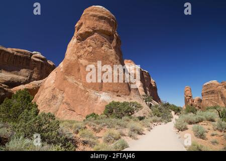 Devils Garden Trail dans le parc national d'Arches, Utah, États-Unis. Banque D'Images