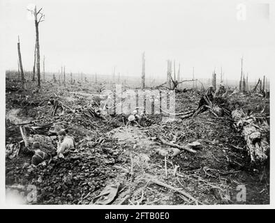 Première Guerre mondiale, première Guerre mondiale, Western Front - creuser une tranchée de communication à travers ce qui était Delville Wood, France Banque D'Images