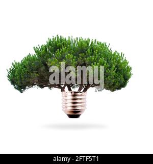 ampoule d'arbre, concept d'énergie propre et renouvelable Banque D'Images