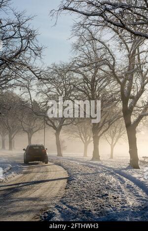 Une voiture se déplace le long d'une route enneigée bordée d'arbres lors d'une matinée d'hiver brumeuse à Harrogate, dans le North Yorkshire, au Royaume-Uni. Banque D'Images