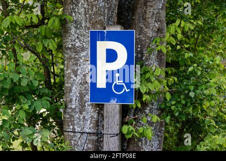 Panneau blanc-bleu pour handicapés avec symbole P et fauteuil roulant, fixé sur un arbre, le jour sans personnes Banque D'Images