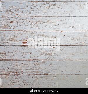 Peinture à l'aspect usé, revêtement de sol écaillé et rétrochutes. l'écaillage de la peinture 12x12 est de couleur gris clair avec des panneaux de plancher horizontaux, ce qui le rend idéal pour t Banque D'Images