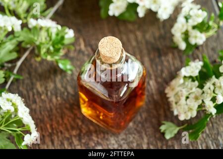 Une bouteille de teinture de plantes avec des fleurs et des feuilles d'aubépine au printemps Banque D'Images