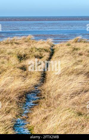 Un chemin à travers l'herbe jusqu'à la rive est du Wash en hiver, entre Snettisham et la plage de Heacham à Norfolk. Banque D'Images