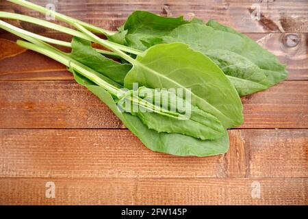 Feuilles d'étrel vertes. Plante fraîche sur une surface en bois. Banque D'Images
