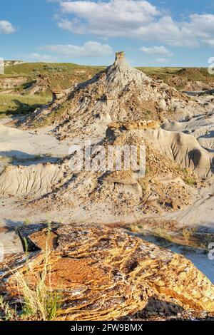 Parc provincial des dinosaures en Alberta, Canada, site classé au patrimoine mondial de l'UNESCO, réputé pour sa topographie saisissante des badland et son abondance de fossiles de dinosaures, Banque D'Images