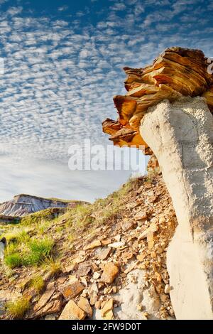 Parc provincial des dinosaures en Alberta, Canada, site classé au patrimoine mondial de l'UNESCO, réputé pour sa topographie saisissante des badland et son abondance de fossiles de dinosaures, Banque D'Images