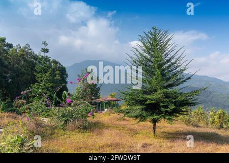 Dolgaon point de vue de Jhalong, Dooars - Bengale occidental , Inde Banque D'Images