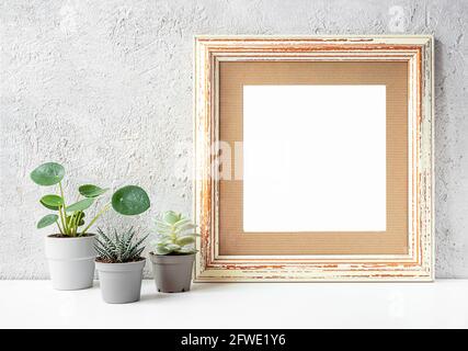 Cadre photo en bois et plantes de la maison dans de petits pots - pilea, haworthia et echeveria sur un fond gris clair Banque D'Images