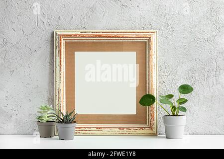 Maison plantes dans de petits pots et un cadre photo en bois sur un fond gris clair Banque D'Images