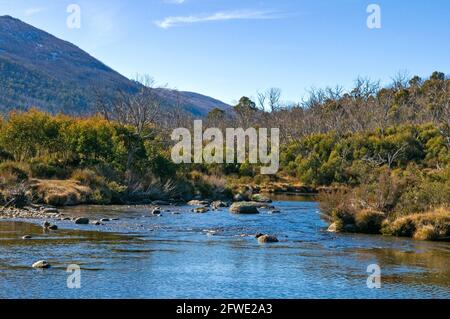 Rivière Thredbo depuis Bullock's Hut, près de Thredbo, Nouvelle-Galles du Sud, Australie Banque D'Images