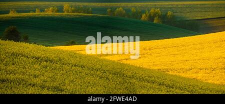 Panorama of the fields situated on undulating hills, reminiscent of the landscape of Italian Tuscany Banque D'Images