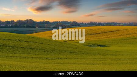 Panorama of the fields situated on undulating hills, reminiscent of the landscape of Italian Tuscany Banque D'Images