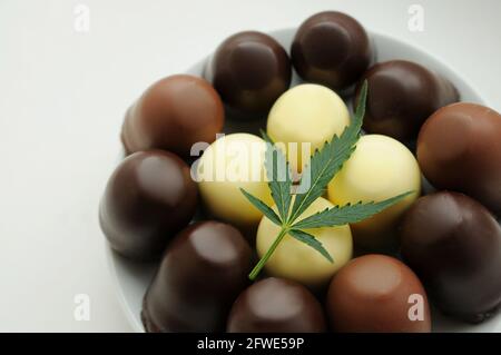 Bonbons au chocolat CBD avec feuille de cannabis. Substance de chanvre isolée sur table blanche. Concept de cuisine avec herbe de cannabis. Traitement de la marihuana médicale pour Banque D'Images