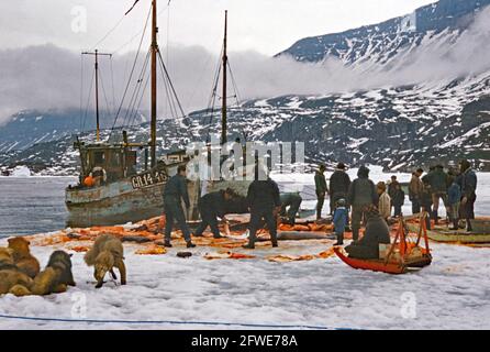 Pêcheur vendant de la viande fraîche de baleine aux résidents de Godharn Bay, Spitsbergen, en 1967. La viande provient presque certainement de petits bélugas et les petits bateaux de pêche sont immatriculés au Groenland. Les gens du coin sont arrivés par des traîneaux tirés par huskys. Le Spitzbergen (anciennement le Spitzbergen occidental, le Vest Spitzbergen ou le Spitzbergen) est la plus grande et la seule île à population permanente de l'archipel du Svalbard dans le nord de la Norvège. Utilisée pour la première fois comme base de chasse à la baleine aux XVIIe et XVIIIe siècles, cette baie a été nommée à l'origine Lievely. Cette image provient d'une ancienne transparence de couleur amateur. Banque D'Images