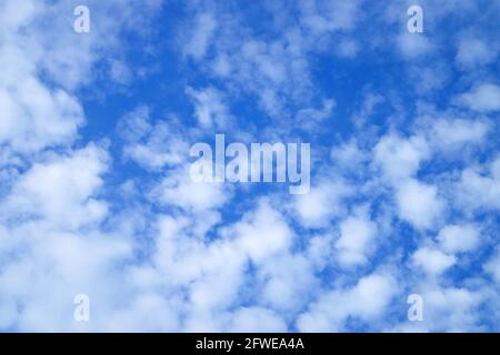 Altocumulus blanc pur nuages dispersés sur ciel bleu vif Banque D'Images