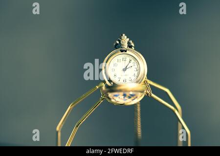 Montre de poche à motif tête de loup. Mise au point sélective Banque D'Images