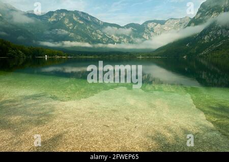 Lac de Bohinj Réflexions, Slovénie Banque D'Images