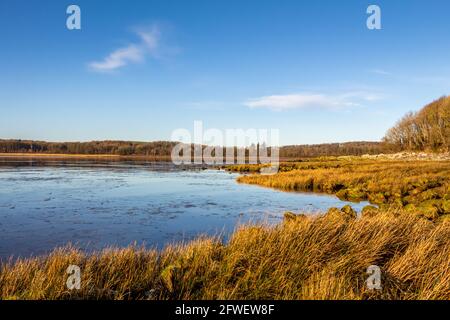Marée basse sur un marais salé Scottish Coastal à Kirkcudbright Bay pendant l'hiver, Dumfries et Galloway, Écosse Banque D'Images