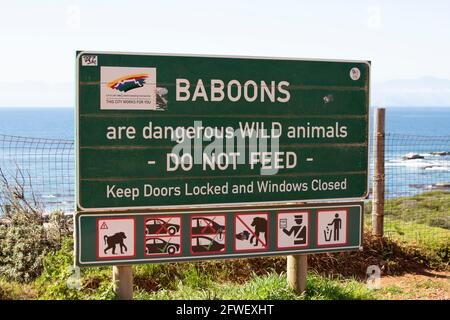 Signez un avertissement aux visiteurs contre l'alimentation des babouins, Cap-Occidental, Afrique du Sud. Banque D'Images