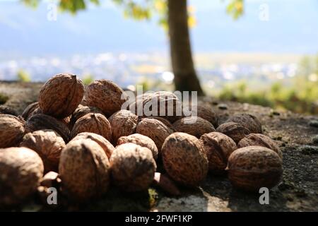 pile de noix fraîches au sol avec vue sur le bokeh de la vallée en arrière-plan Banque D'Images