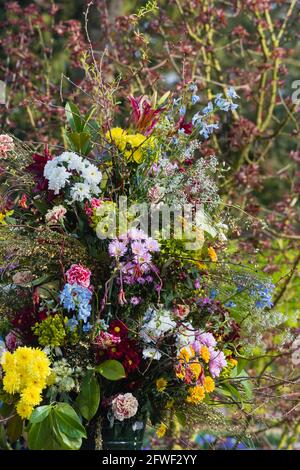 Grandes fleurs multicolores bouquet sur spring park Banque D'Images