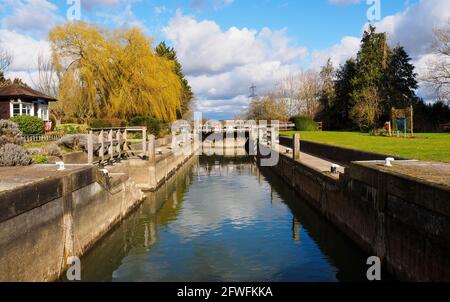 La vue en naviguant jusqu'à Grafton Lock. L'écluse date de 1896 et se trouve sur la Tamise, en aval de la ville populaire de Lechlade Banque D'Images