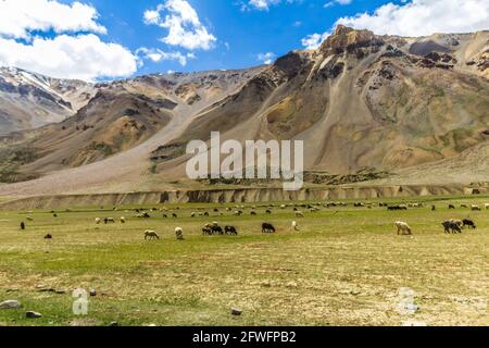 Vues diverses sur l'autoroute Manali Leh Banque D'Images