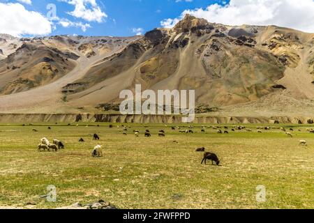 Vues diverses sur l'autoroute Manali Leh Banque D'Images