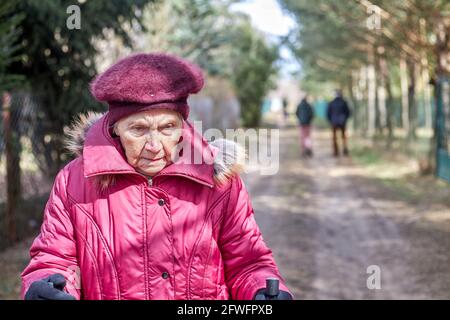 femme senior en rose chaud veste de randonnée avec bâtons de trekking dans les jeunes pins. Banque D'Images