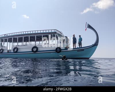 Maldives transport rapide en bateau, requin baleine et manta plongée et pêche, la vie marine d'atoll Banque D'Images