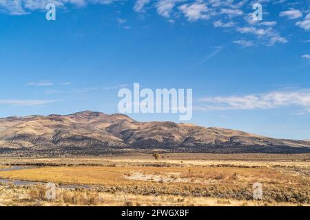 Magnifique paysage de collines arides de Rolling dans le nord de la Californie contre les nuages et le ciel bleu Banque D'Images