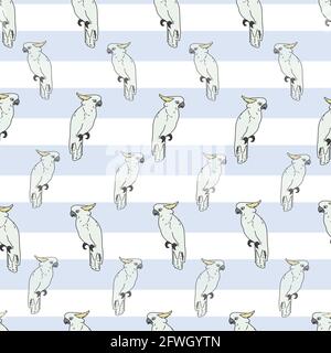 Vecteur blanc fond oiseaux tropicaux, perroquets, oiseaux exotiques de cacatoès. Arrière-plan sans couture Illustration de Vecteur