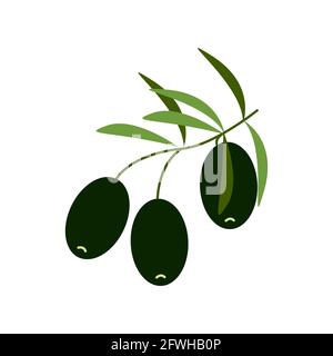 Olives noires sur une branche, nourriture saine, clipart vecteur de style plat, isolat sur blanc Illustration de Vecteur