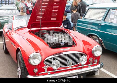 1958 voiture de sport Austin Healey classique rouge à un Sydney Salon automobile, Australie Banque D'Images