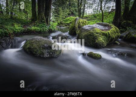 Naturschutzgebiet Höllbachtal im vorderen Bayerischen Wald Banque D'Images