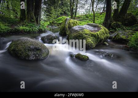 Naturschutzgebiet Höllbachtal im vorderen Bayerischen Wald Banque D'Images