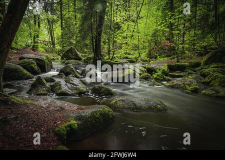 Naturschutzgebiet Höllbachtal im vorderen Bayerischen Wald Banque D'Images