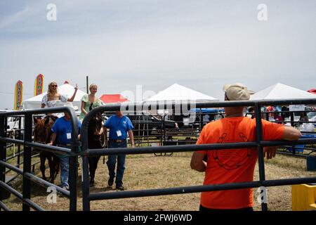 Camden, États-Unis. 22 mai 2021. Les participants à la course font le tour d'un petit enclos dans l'infield de la Carolina Cup.des jockeys et des chevaux complètent la dernière partie de la quatrième course de la journée. Crédit : SOPA Images Limited/Alamy Live News Banque D'Images